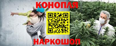 jwh Беслан