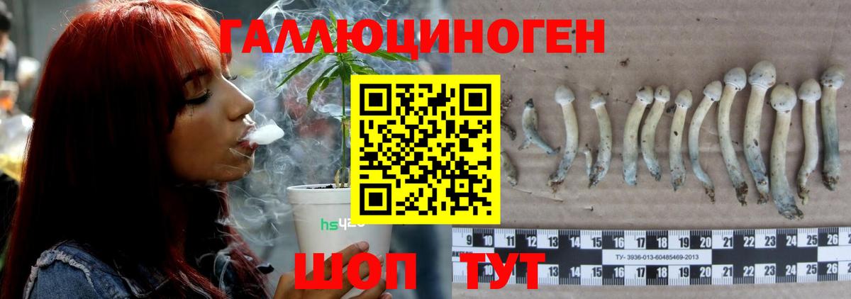 Псилоцибиновые грибы ЛСД Ипатово